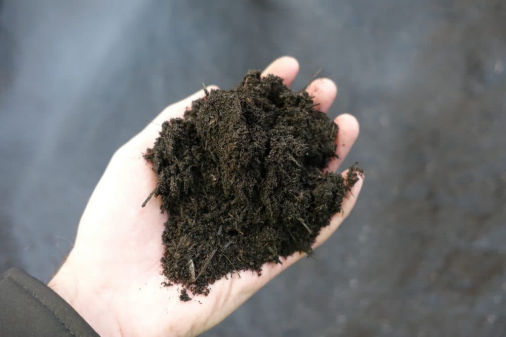 Vermimeal